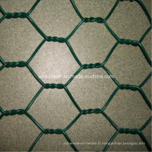 Hex hexagonale en PVC. Mesh en fil métallique / fil de poulet